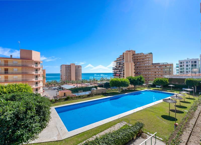 Apartamento - Segunda mano - Arenales del Sol - Segunda linea playa
