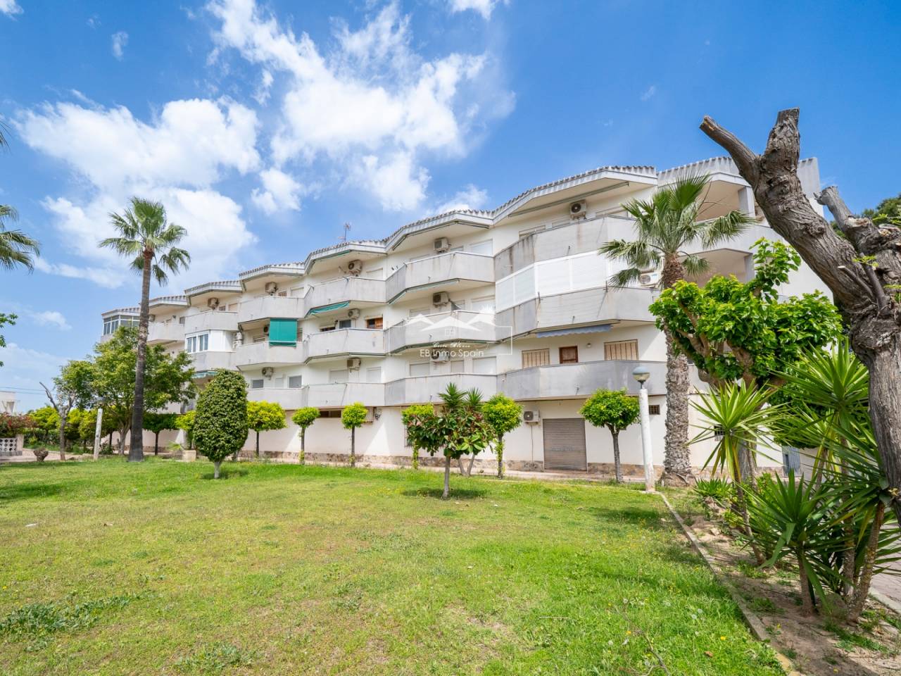 Apartamento - Segunda mano - Orihuela Costa - BBC-66883
