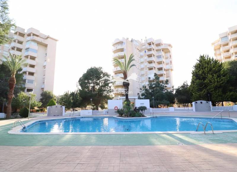 Apartamento - Segunda mano - Orihuela Costa - Campoamor