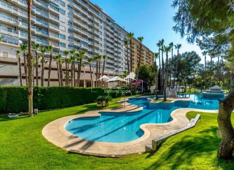 Apartamento - Segunda mano - Orihuela Costa - Campoamor