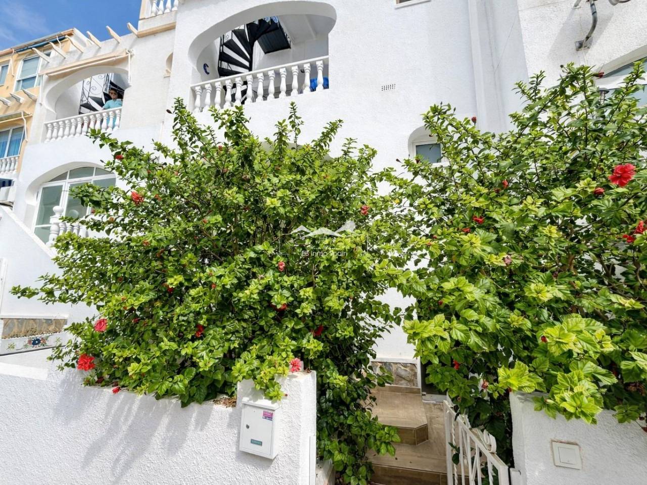 Apartamento - Segunda mano - San Miguel De Salinas - UE-55953