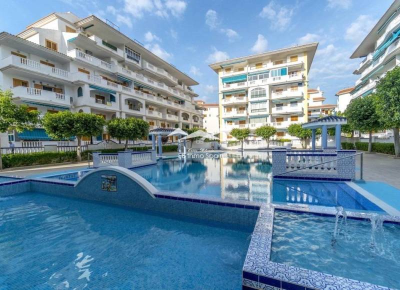 Apartamento - Segunda mano - Torrevieja - Los Europeos