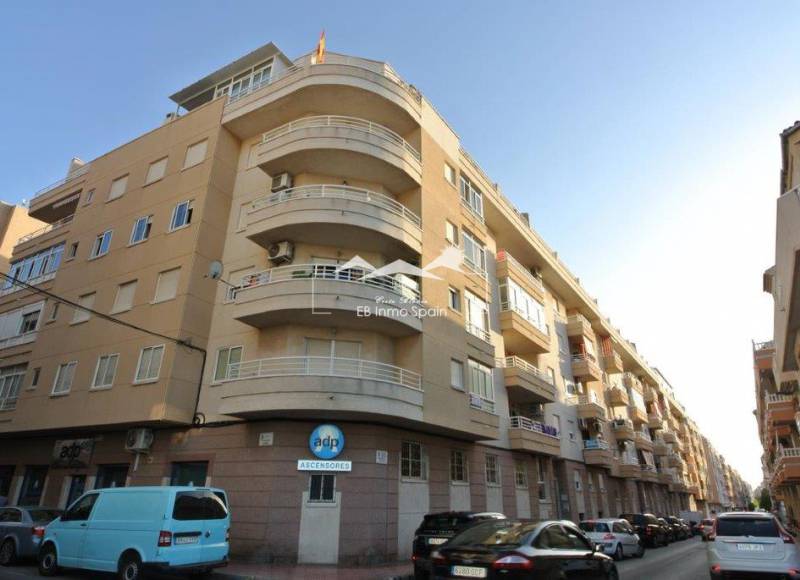 Apartamento - Segunda mano - Torrevieja - Torrevieja