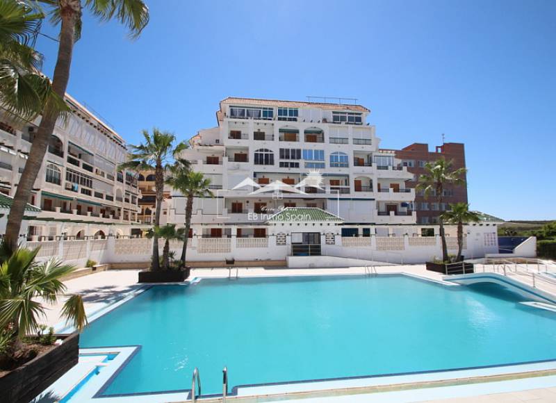 Apartment - Resale - La Mata - La Mata