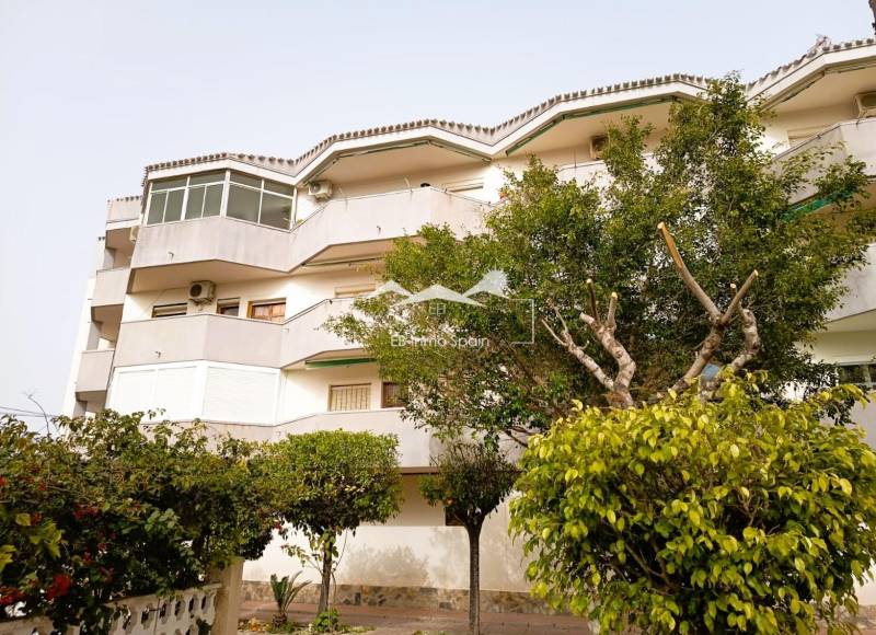 Appartement - Seconde main - Orihuela Costa - La Regia