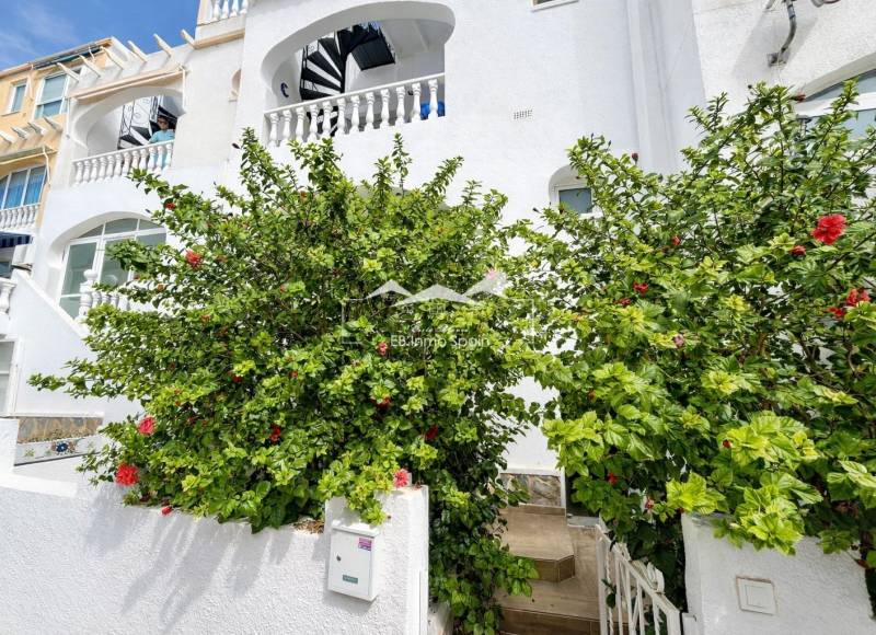 Appartement - Seconde main - San Miguel De Salinas - Las filipinas