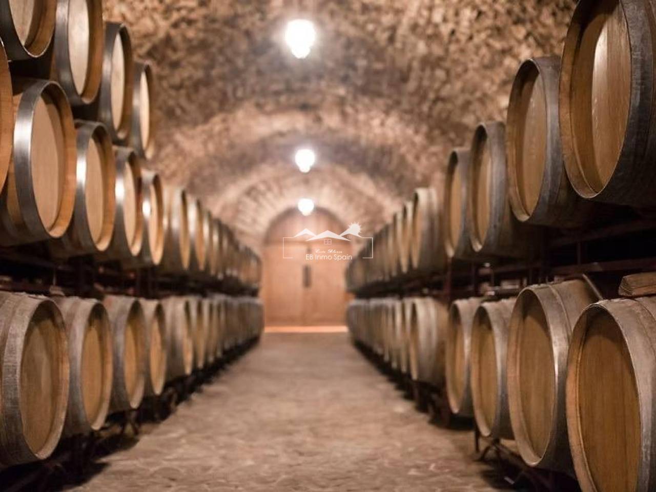 Cellar - Resale - Albacete - I-85940