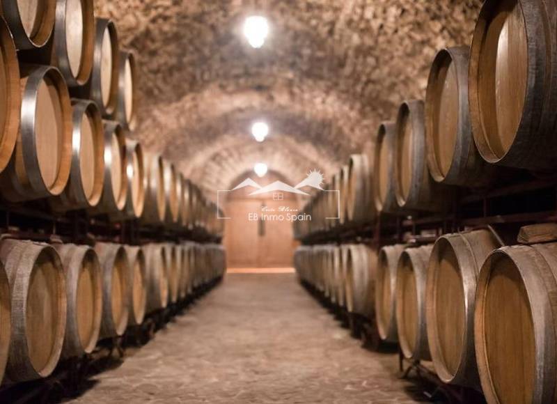 Cellar - Seconde main - Albacete - Albacete