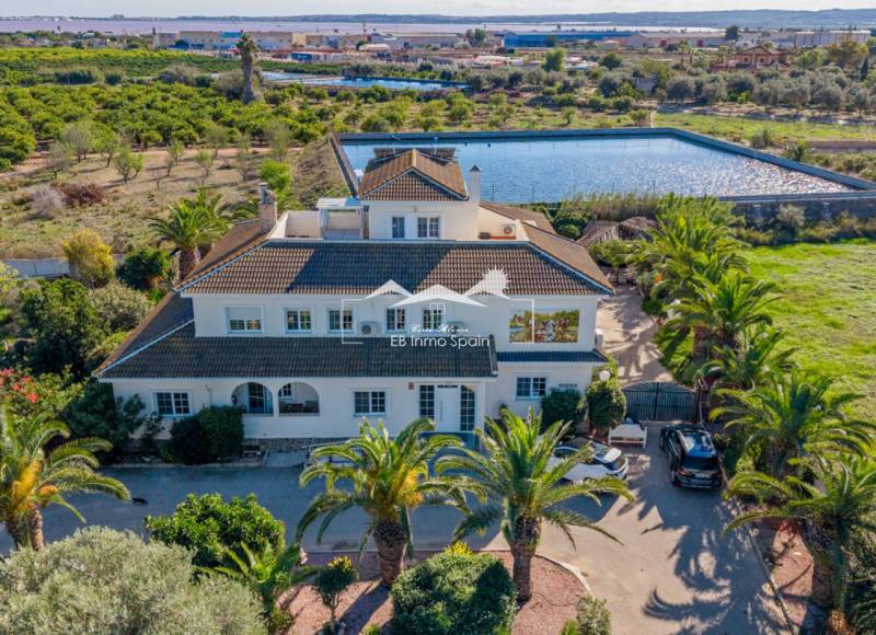 Finca / Country Property - Seconde main - Los Montesinos - Los Montesinos