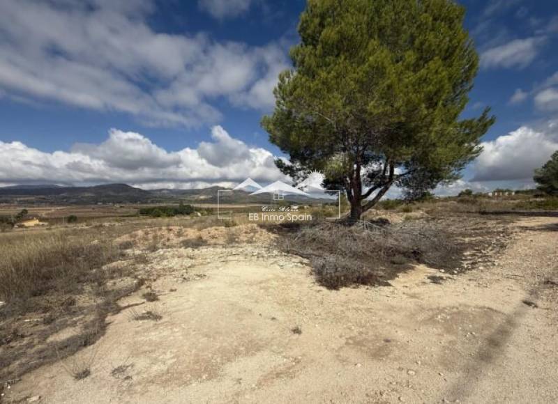 land - Seconde main - Monovar - Monovar