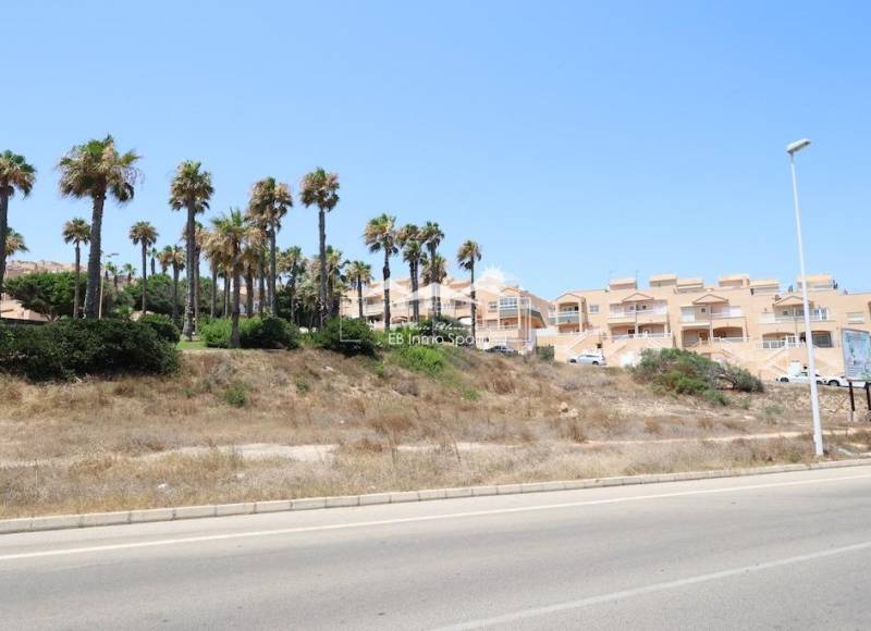 Parcela - Segunda mano - Torrevieja - Cabo Cervera